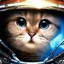 SpaceKitty