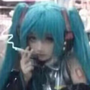 人类高质量鲨鲨