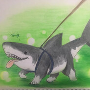 世界上最后一条大鲨狗