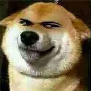 哈基米你这家伙