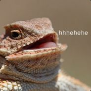 iwllyu - steam id 76561197961802204