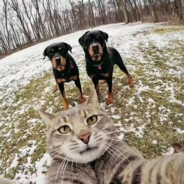 你看到捣蛋鬼了吗？他在哪里？