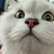 月光欲到长门殿