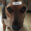 Label Maker