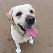 smn - steam id 76561197961093337
