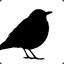 TheBlackBird Inc.