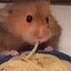 240KM/H Hamsterpeek