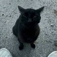 Xx_420C0ckSuck1ngB34st69_xX