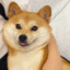 柴宝