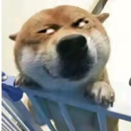 妹妹你要相信光啊