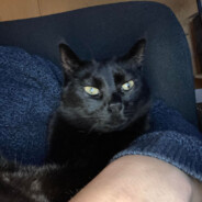 Underberg - Barselsgaming