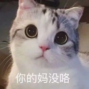 乌萨奇