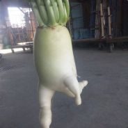 普书记在办公室