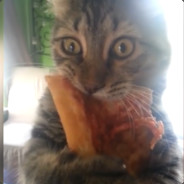 niminE - steam id 76561198183567874