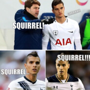 Lamela squirrel