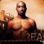 pac4ever