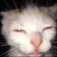 d0ja's Avatar