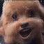 狗