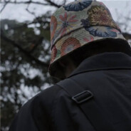 青山略输我峥嵘