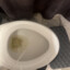 PissBoy (HORNY)