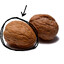 Left Nut
