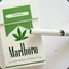Marlboro