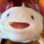 Staxolotl