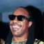 Stevie Wonder