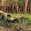 Long Range Bush