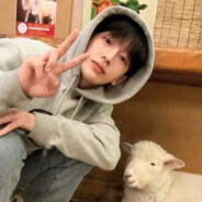 只会摆头的小柳