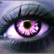 The Eye