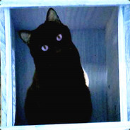 软饭硬吃的米虫一枚吖