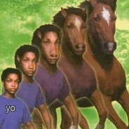 potrinhohomo