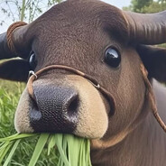 我们的厨房非常干净绝