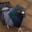 Poofy Pidge