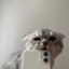 ВЗАИМНЫЕ ЛАЙКИ &lt;3