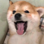 清风不见明和月