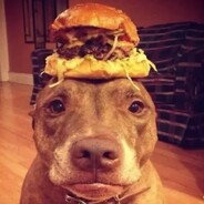 kevdoggyy