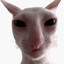 James's avatar