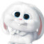 SnowBall