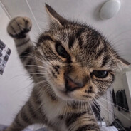 Szczyku's avatar