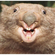 wombat=combat