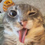 f33ld34d's avatar
