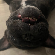Luci Boogie