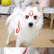 Exclusive Memory-蕊