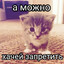 тапок для хапок