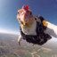 flying_chicken