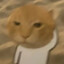 IKUN