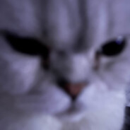 Матвей avatar