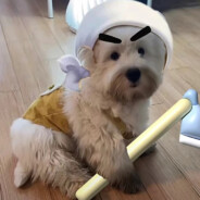 好想回家睡大觉